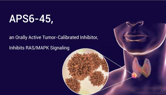 APS6-45, an Orally Active Tumor-Calibrated Inhibitor, Inhibits RAS/MAPK Signaling