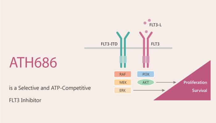 ATH686 is a Selective and ATP-Competitive FLT3 Inhibitor