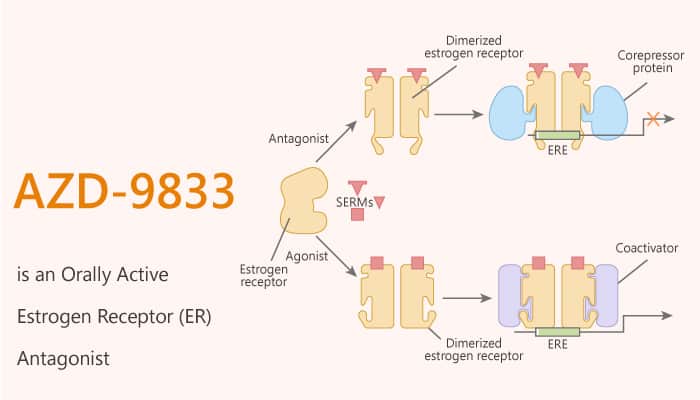 AZD-9833 is an Orally Active Estrogen Receptor (ER) Antagonist