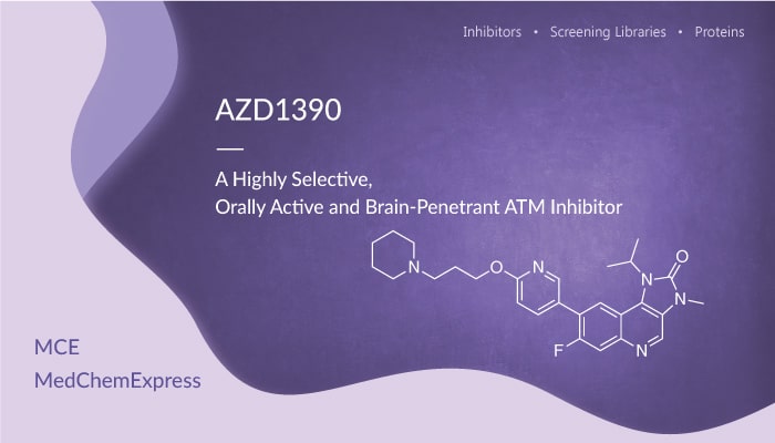AZD1390 is a Highly Selective, Orally Active and Brain-Penetrant ATM Inhibitor