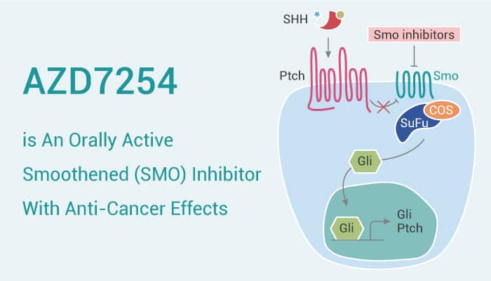 AZD7254 is An Orally Active Smoothened (SMO) Inhibitor With Anti-Cancer Effects