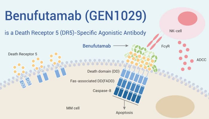 Benufutamab (GEN1029) is a DR5-Specific Agonistic Antibody for Solid Tumor Research