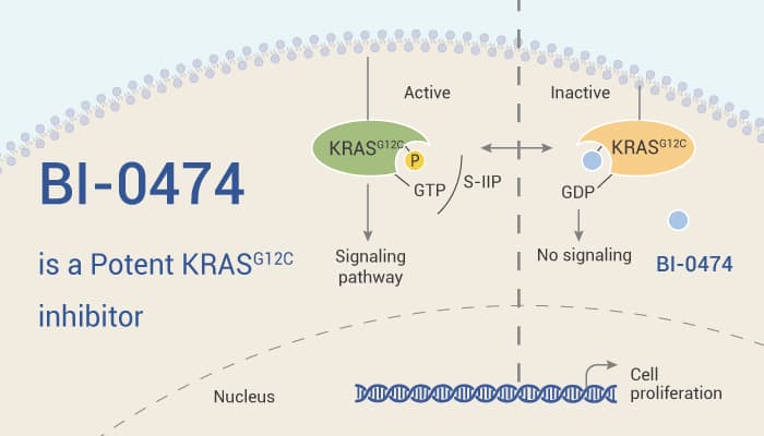 BI-0474 is a Potent KRAS G12C inhibitor