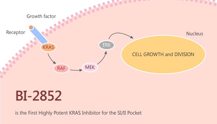 BI-2852 is the First Highly Potent KRAS Inhibitor for the SI/II Pocket
