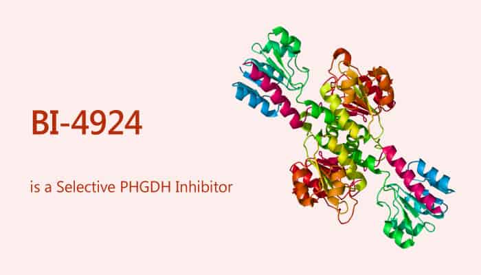 BI-4924 is a Selective PHGDH Inhibitor