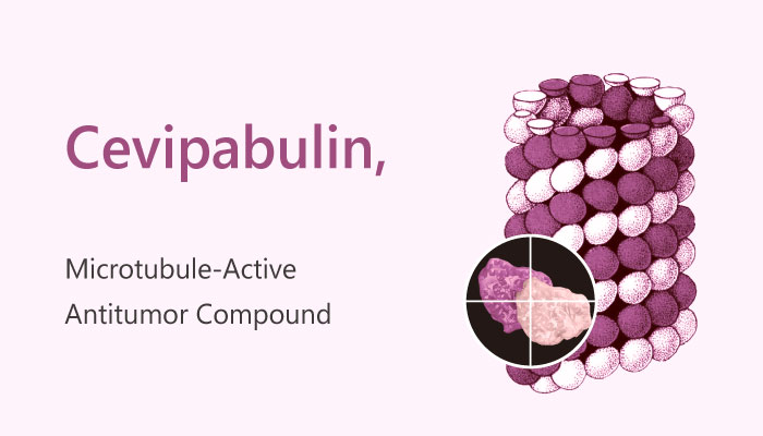 Cevipabulin (TTI-237) is a Microtubule-Active Antitumor Compound