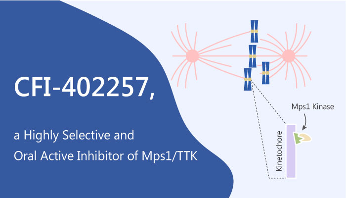 CFI-402257 is a Highly Selective and Orally Active Inhibitor of Mps1/TTK
