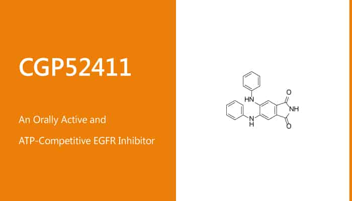 CGP52411 is an Orally Active and ATP-Competitive EGFR Inhibitor