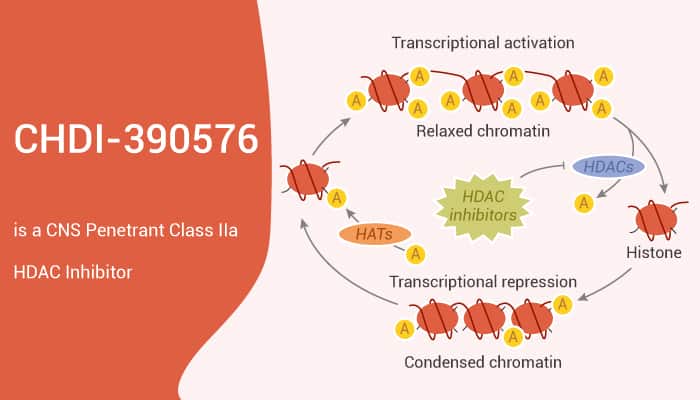 CHDI-390576 is a CNS Penetrant Class IIa HDAC Inhibitor