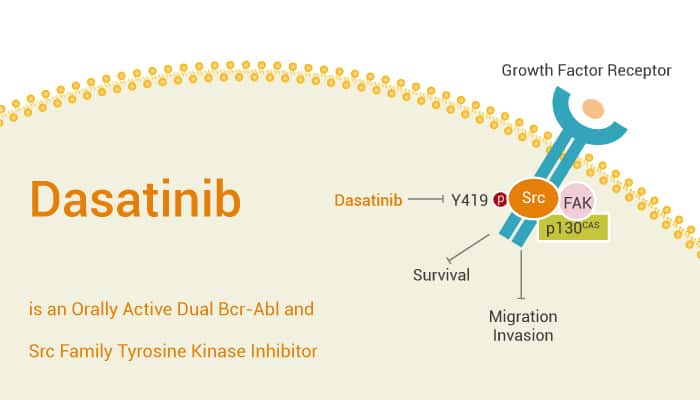 Dasatinib is an Orally Active Dual Bcr-Abl and Src Family Tyrosine Kinase Inhibitor