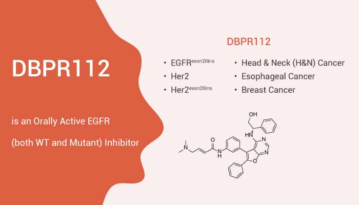 DBPR112 is an Orally Active EGFR (both WT and Mutant) Inhibitor
