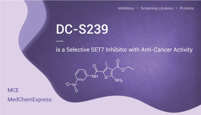 DC-S239 is a Selective SET7 Inhibitor With Anti-Cancer Activity