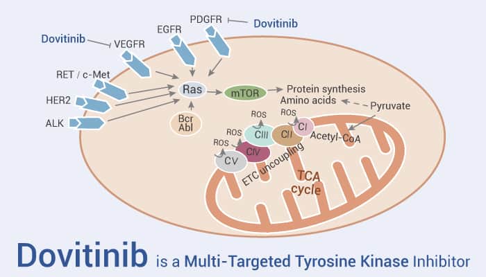 Dovitinib is a Multi-Targeted Tyrosine Kinase Inhibitor