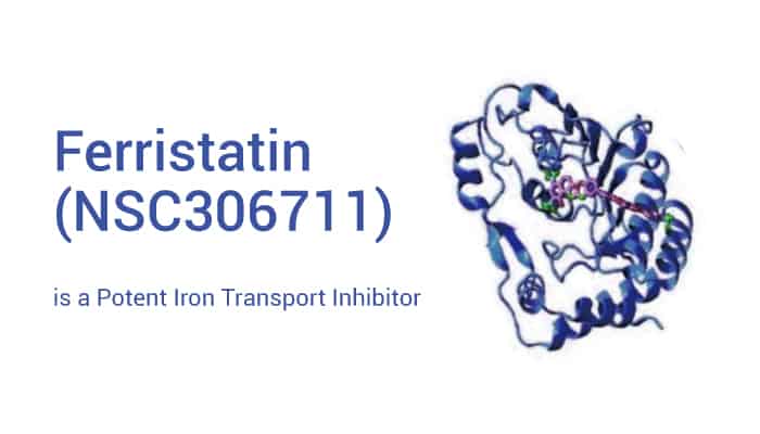 Ferristatin (NSC306711) is a Potent Iron Transport Inhibitor and Promotes Transferrin Receptor Degradation