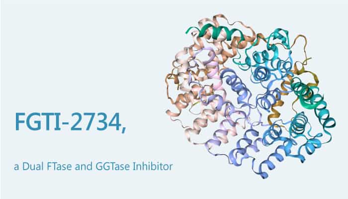 FGTI-2734, a Dual FTase and GGTase Inhibitor, Has Potential to Treat KRAS-mutant Cancer