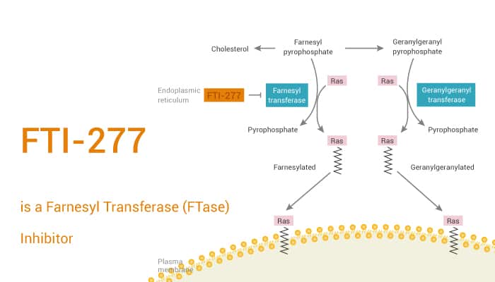 FTI-277 is a Farnesyl Transferase (FTase) Inhibitor