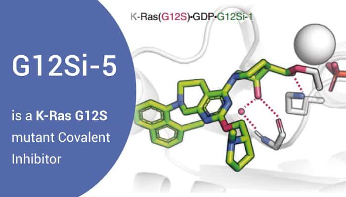 G12Si-5 is a K-Ras G12S Mutant Covalent Inhibitor