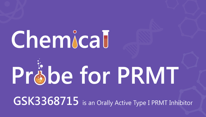 GSK3368715 is an Orally Active Type I PRMT Inhibitor