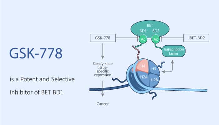 GSK778 is a Potent and Selective Inhibitor of BET BD1