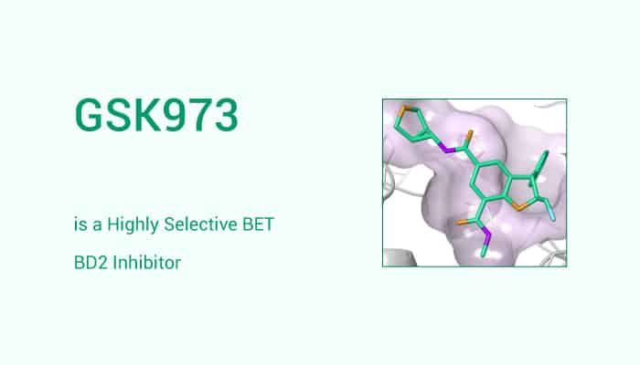 GSK973 is a Highly Selective BET BD2 Inhibitor