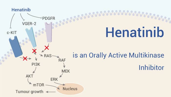 Henatinib is an Orally Active Multikinase Inhibitor with Broad Antitumor Activities