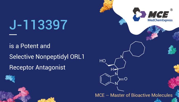 J-113397 is a Potent and Selective ORL1 Receptor Antagonist