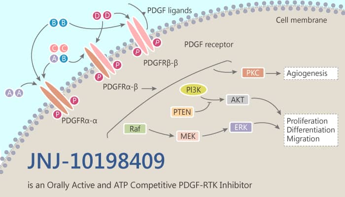 JNJ-10198409, an orally active PDGF-RTK inhibitor