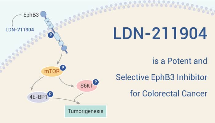 LDN-211904 is a Potent and Selective EphB3 Inhibitor for Colorectal Cancer Research