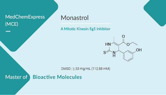 Monastrol is a Potent Inhibitor of the Mitotic Kinesin Eg5