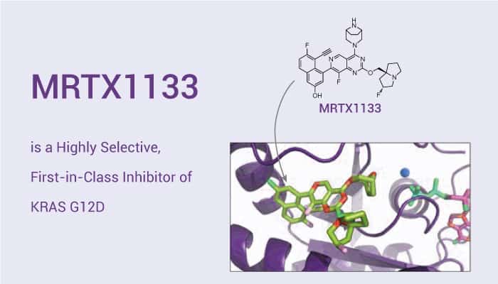 MRTX1133 is a Highly Selective, First-in-Class Inhibitor of KRAS G12D