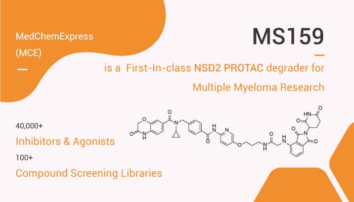 MS159 is a First-In-class NSD2 PROTAC degrader for Multiple Myeloma Research