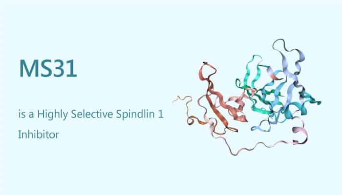 MS31 is a Highly Selective Spindlin 1 Inhibitor