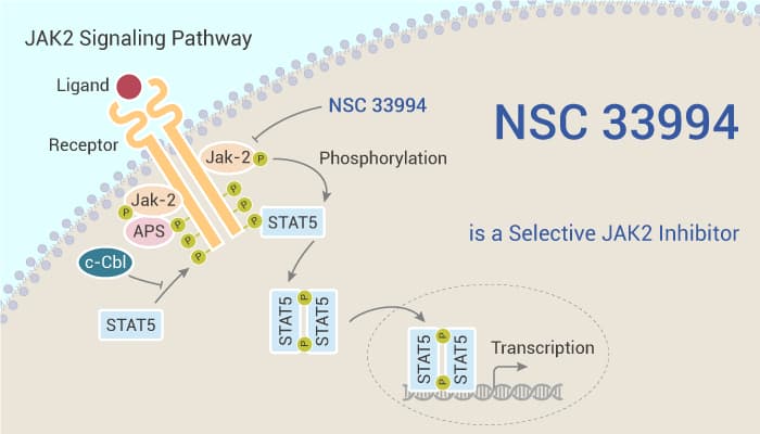 NSC 33994 is a Selective JAK2 Inhibitor