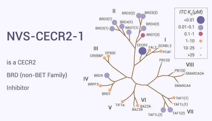 NVS-CECR2-1 is a CECR2 BRD (non-BET Family) Inhibitor