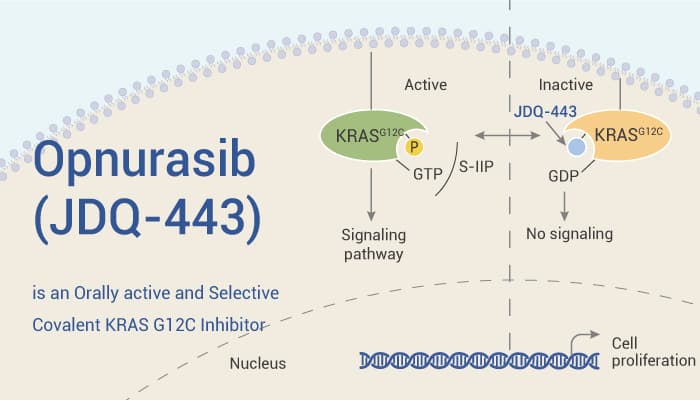 Opnurasib (JDQ-443) is an Orally Active KRAS G12C Inhibitor