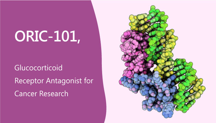 ORIC-101, a Potent Steroidal Glucocorticoid Receptor Antagonist for Cancer Research