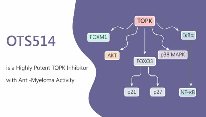 OTS514 is a Highly Potent TOPK Inhibitor with Anti-Myeloma Activity