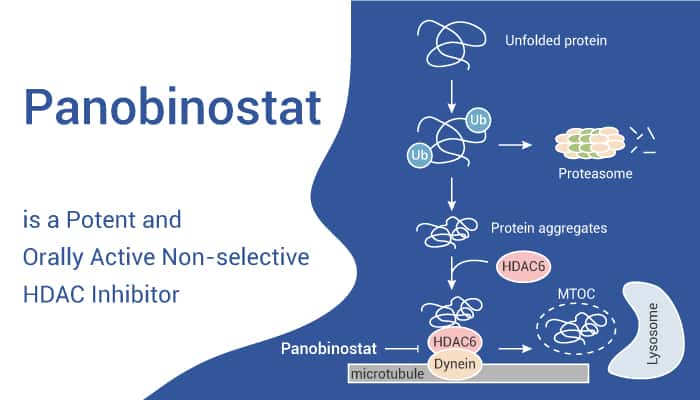 Panobinostat is a Potent and Orally Active Non-selective HDAC Inhibitor