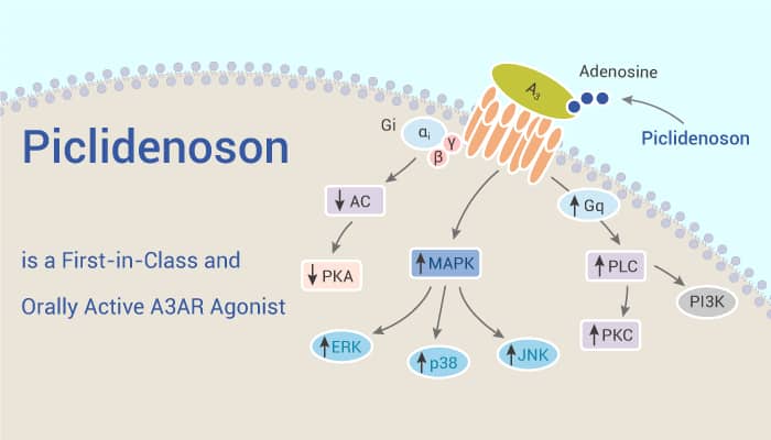 Piclidenoson (IB-MECA) is a First-in-Class and Orally Active A3AR Agonist