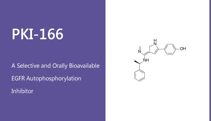 PKI-166 is a Selective and Orally Bioavailable EGFR Autophosphorylation Inhibitor