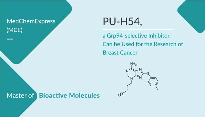 PU-H54, a Grp94-selective Inhibitor, Can be Used for Breast Cancer Research