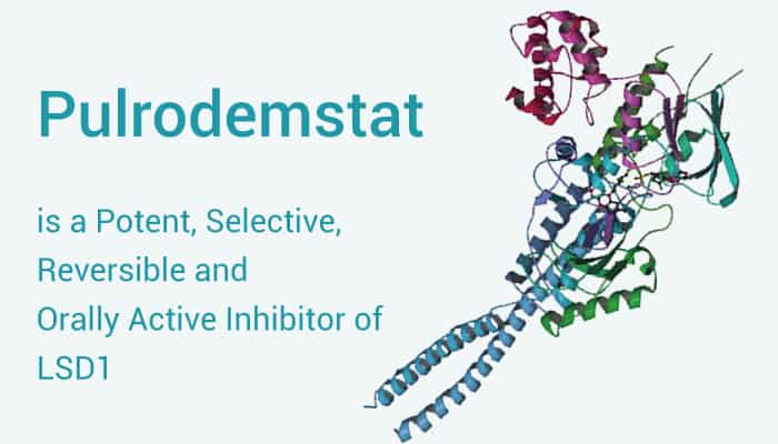 Pulrodemstat is a Potent, Selective, Reversible and Orally Active Inhibitor of LSD1