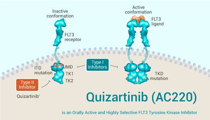 Quizartinib (AC220) is an Orally Active and Highly Selective FLT3 Tyrosine Kinase Inhibitor
