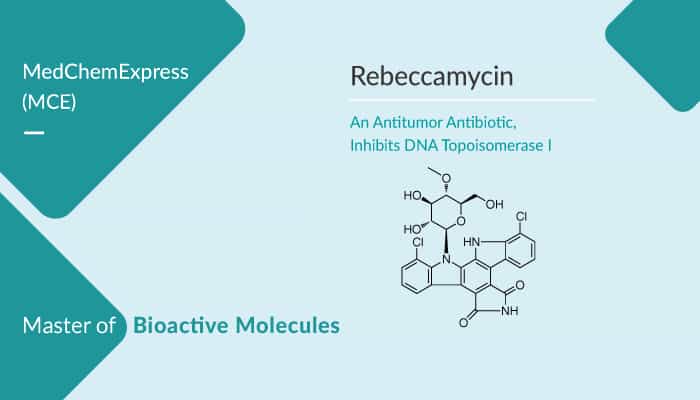 Rebeccamycin, an Antitumor Antibiotic, Inhibits DNA Topoisomerase I