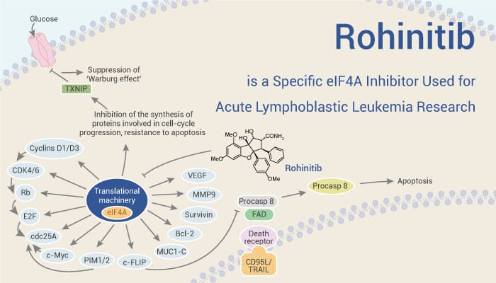 Rohinitib is a Specific eIF4A Inhibitor Used for Acute Lymphoblastic Leukemia Research