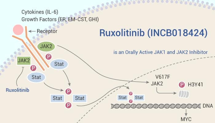 Ruxolitinib (INCB018424) is an Orally Active JAK1 and JAK2 Inhibitor