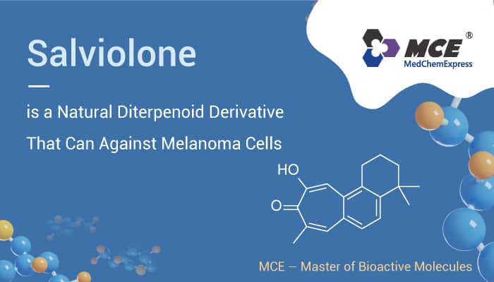 Salviolone is a Natural Diterpenoid Derivative That Can Against Melanoma Cells