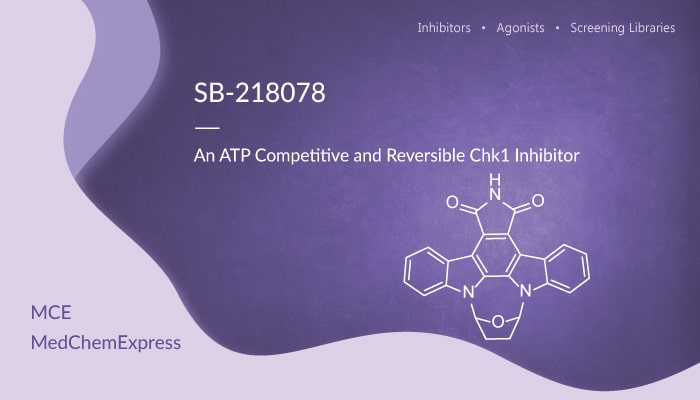 SB-218078 is an ATP Competitive and Reversible Chk1 Inhibitor