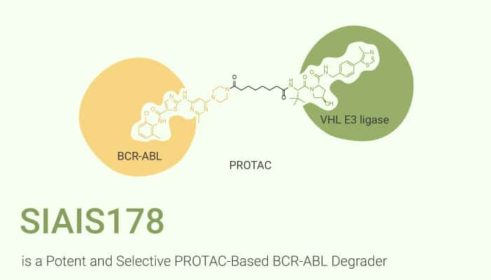 SIAIS178 is a Potent and Selective PROTAC-Based BCR-ABL Degrader