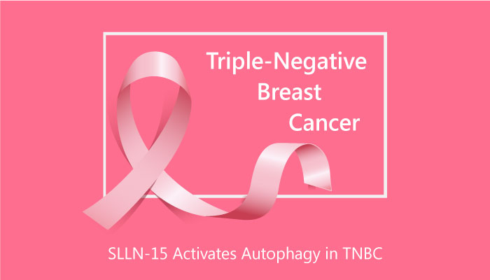 SLLN-15 Activates Autophagy in Triple-Negative Breast Cancer (TNBC)